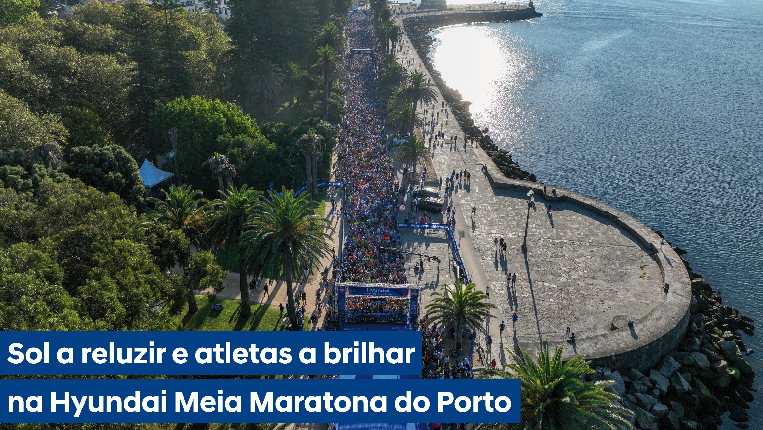 Meia Maratona do Porto 